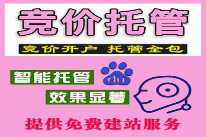 揭秘成功之道：竞价推广公司经典案例分享
